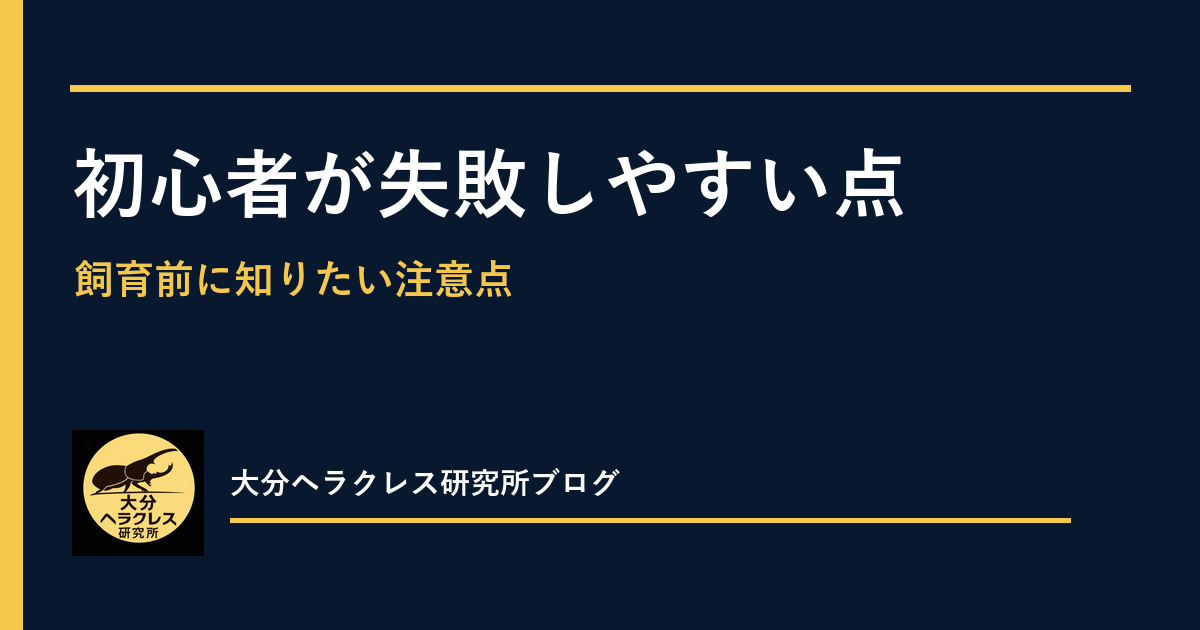 初めてのヘラクレス飼育でよくある失敗7選｜迎える前の確認リスト