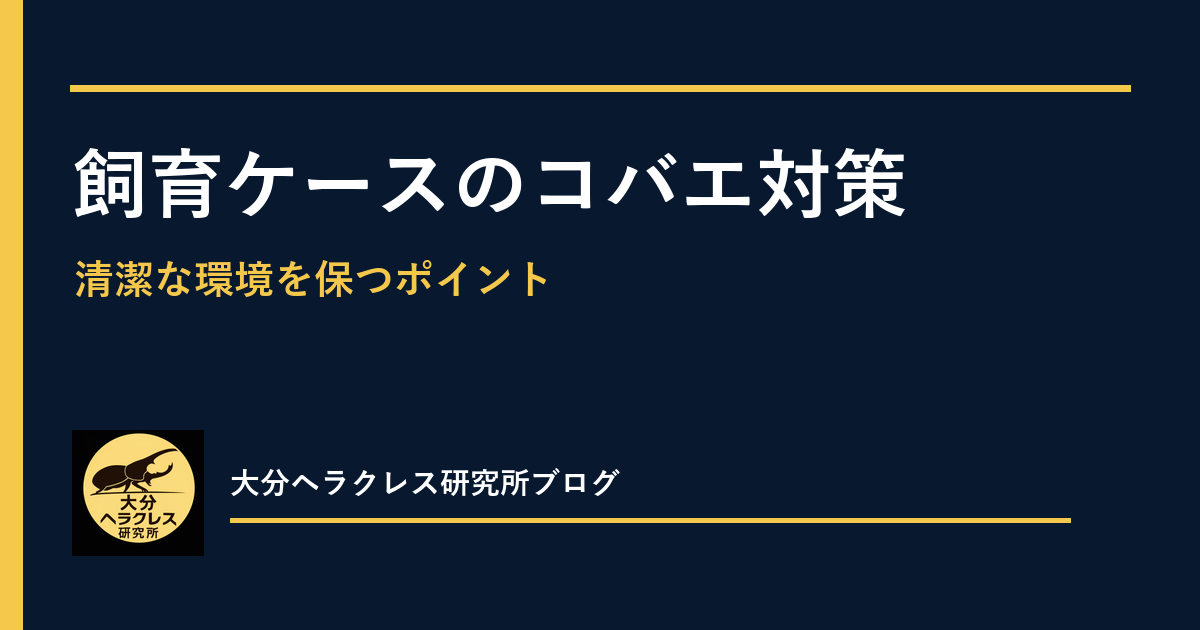 ヘラクレス飼育のコバエ対策｜発生を減らす清潔管理の基本