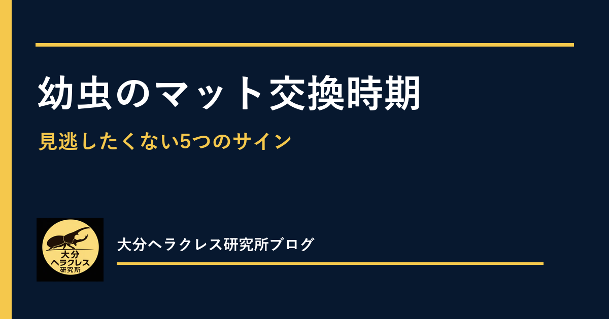 ヘラクレスオオカブト幼虫のマット交換時期｜見逃したくない5つのサイン