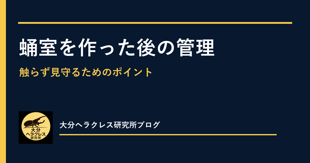 ヘラクレスオオカブトの蛹室を見つけたら｜掘らずに確認するポイント