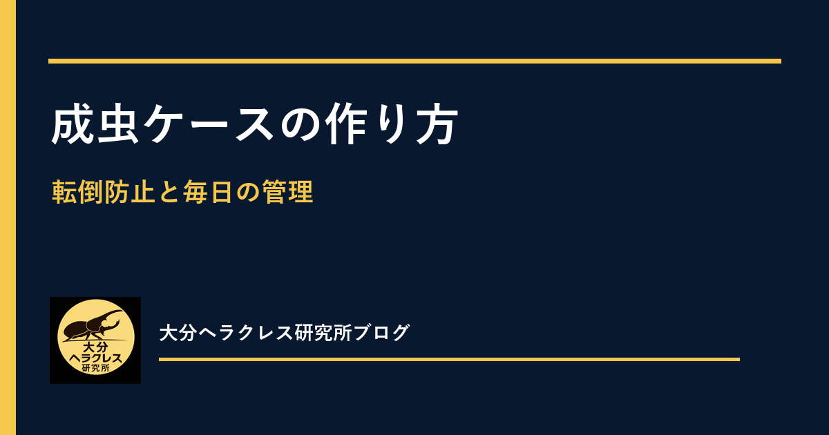 ヘラクレスオオカブト成虫ケースの作り方｜転倒防止と毎日の管理